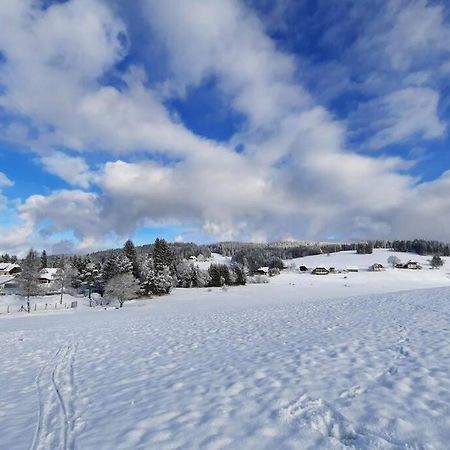 Gemuetliche Ferienwohnung Fuer 4 Gaeste In Schoenwald Schönwalde Εξωτερικό φωτογραφία